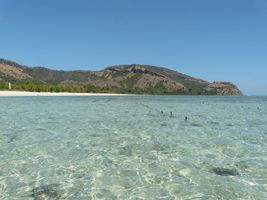 scar reef sumbawa